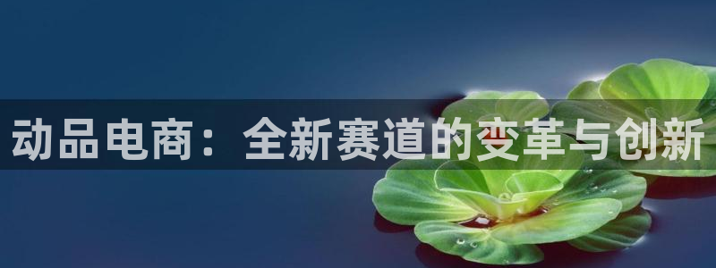 动品电商：全新赛道的变革与创新