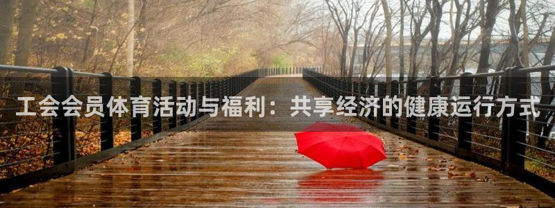 工会会员体育活动与福利：共享经济的健康运行方式
