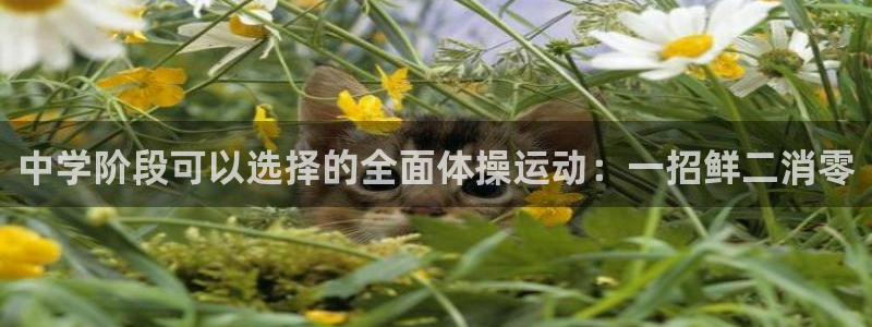 中学阶段可以选择的全面体操运动：一招鲜二消零